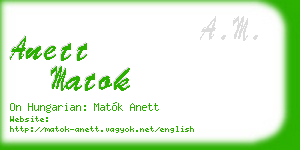 anett matok business card